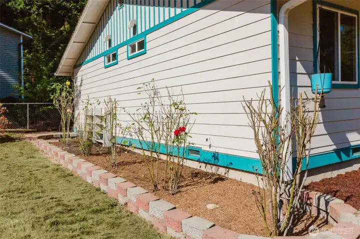 Variety of rose bushes