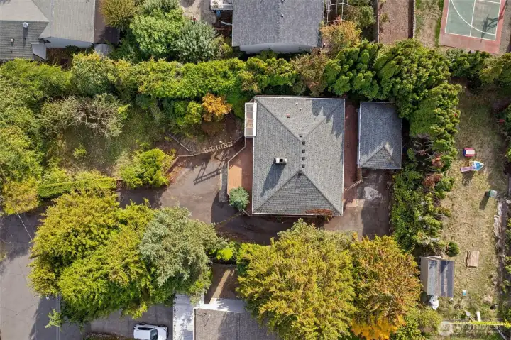 This lot features mature vegetation awaiting the next homeowner's green thumb!