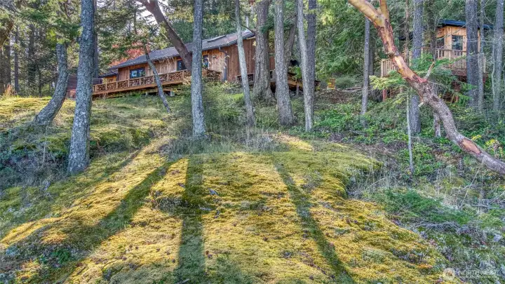 The house and treehouse, both with metal roofs and new cedar siding, blend nicely into the wooded site.