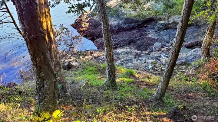 Rocky cove to launch kayak, paddleboard or explore tidepools. Second class tidelands are included; see the uploaded plat map which shows the property encompasses most of this cove. Neighbor owns the point in the background.