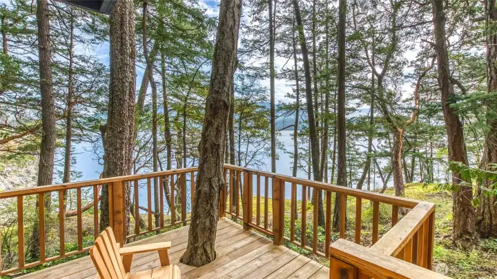Mini deck of the treehouse wraps around the tree.