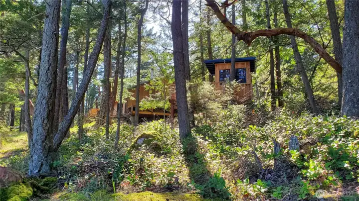 The treehouse blends into the forest setting