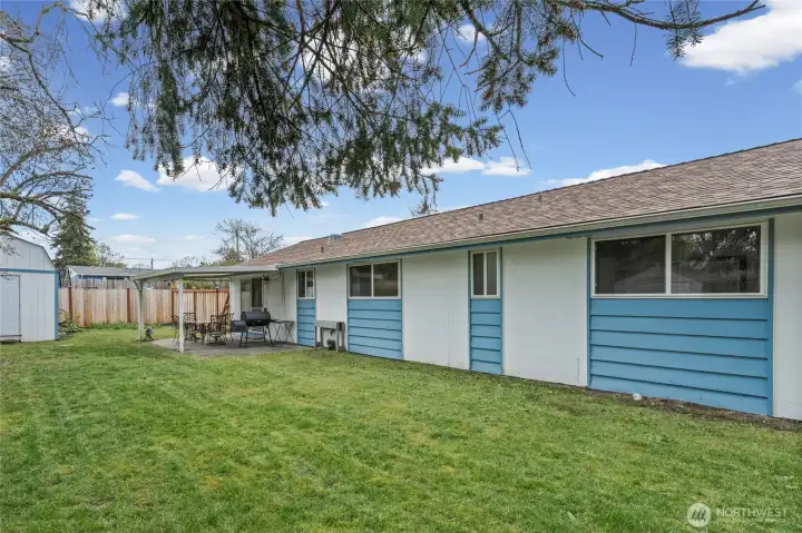 Fully-fenced and plenty of room to roam.