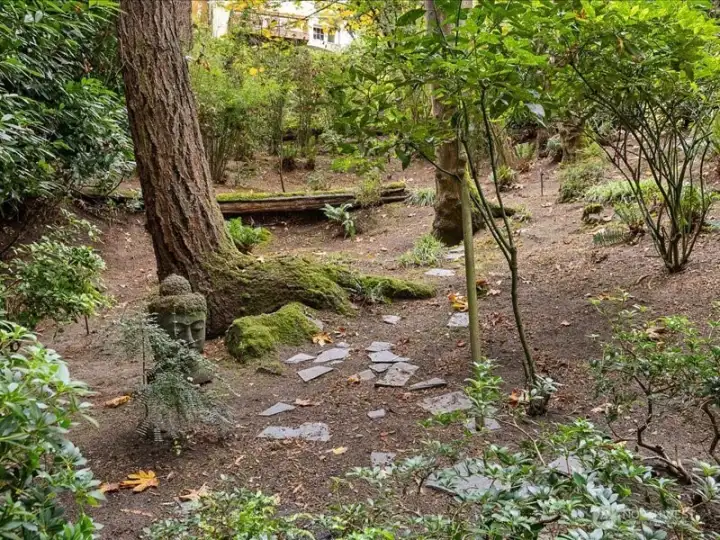 Wildlife visit on almost a daily basis. Deer are raised and sleep on the hillside.