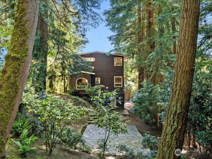 The mature landscaping with real redwood trees on the Southern side are very nice to admire.