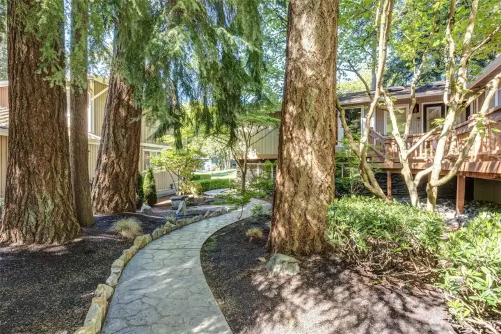 Meandering pathway winds through mature landscaping and towering evergreens, creating a serene courtyard-style setting beneath the home’s expansive decks. (Front of the home, leading to the side and back)