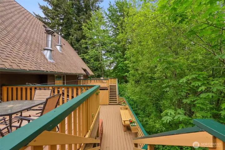 Grab a book and enjoy the overlook of the forest space