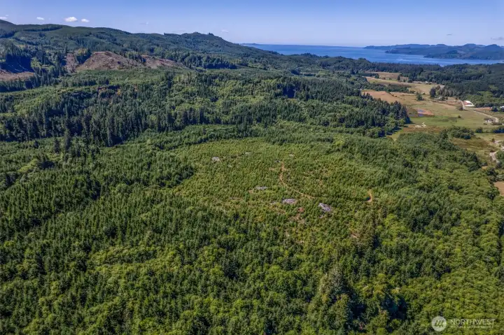 Aerial view of property Aerial view of property