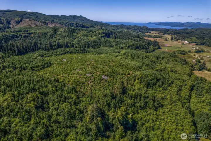 Aerial view of property Aerial view of property