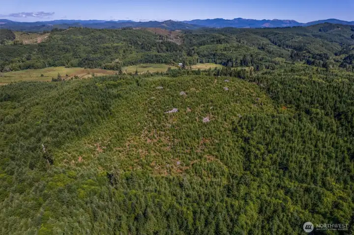 Aerial View Aerial View