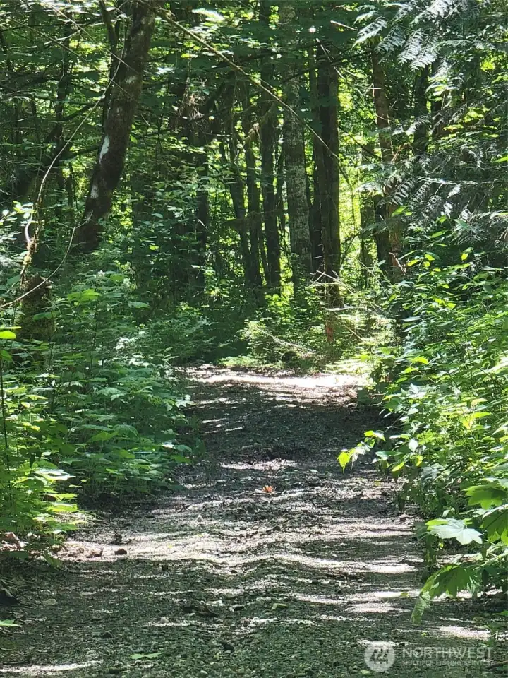 Driveway to river.