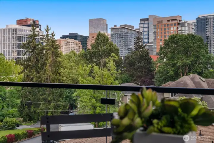 Views of the Skyline in the palm of your hand. Views of the Skyline in the palm of your hand.