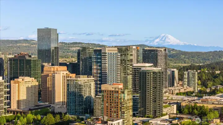 Minutes from downtown (few blocks away from downtown) and all the shopping centers. Minutes from downtown (few blocks away from downtown) and all the shopping centers.