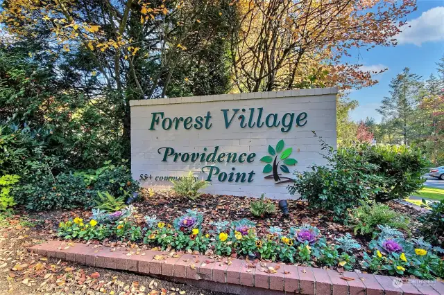 Forest Village Entry