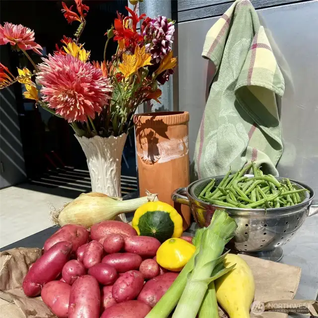 Bounty from the garden