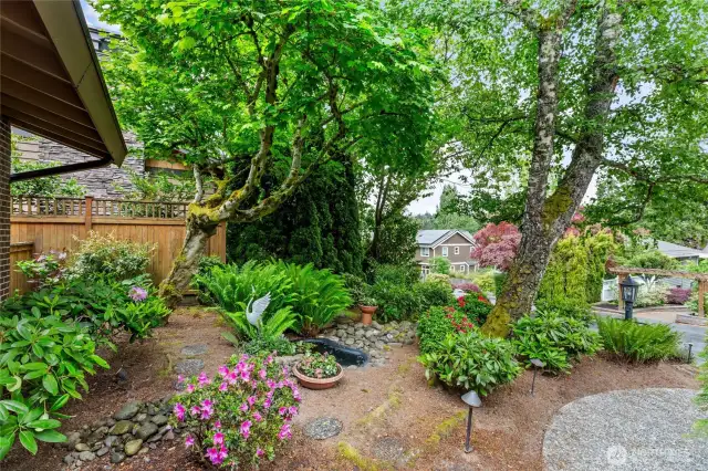 Such a beautiful setting, so private from the street.