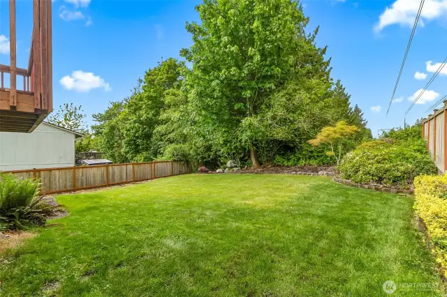 Fully fenced backyard with mature landscaping, garden bed border, and privacy trees—ideal for play, pets, or relaxing outdoors.