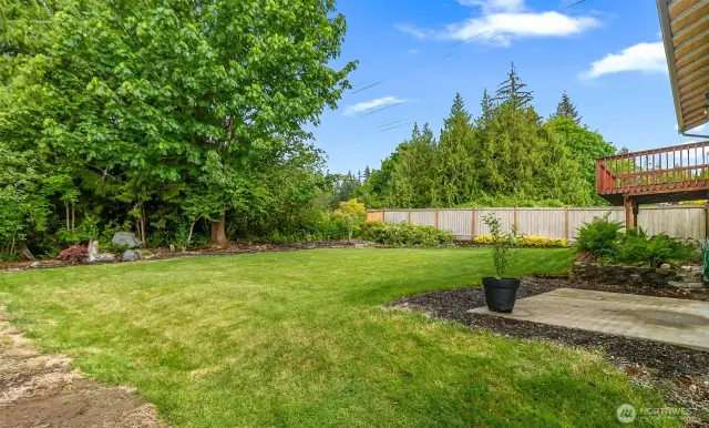 Backyard backs to mature trees for added privacy. Features raised beds, patio space, and low-maintenance landscaping.