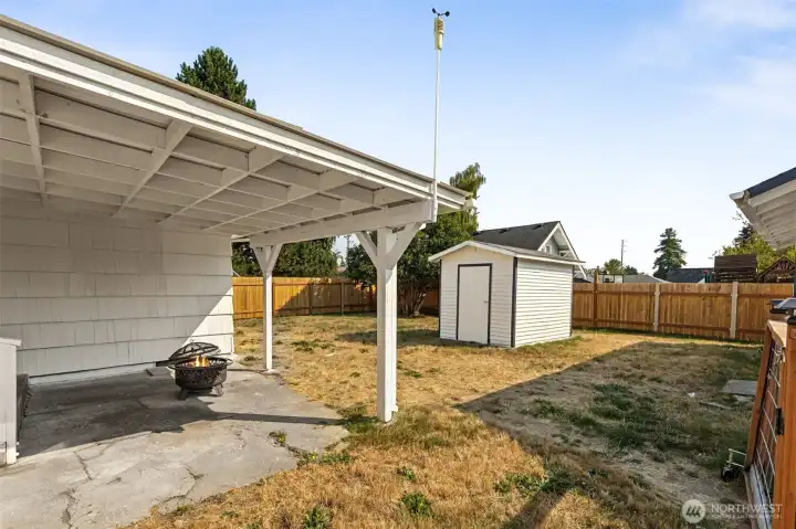 Backyard