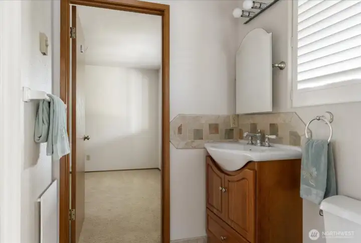 Lower level bathroom