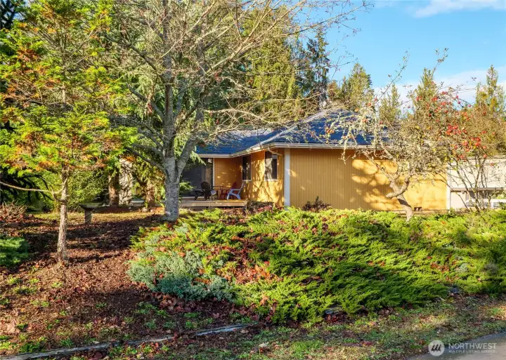 lots of garden space