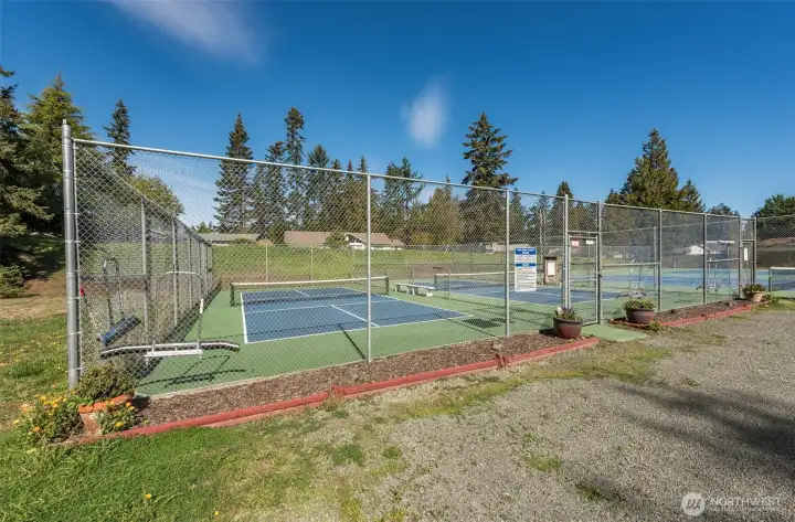 Sport Courts
