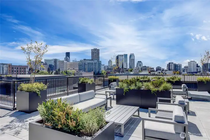 Newly remodeled Rooftop Deck