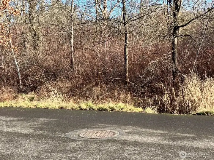 Sewer lid in street in front of property
