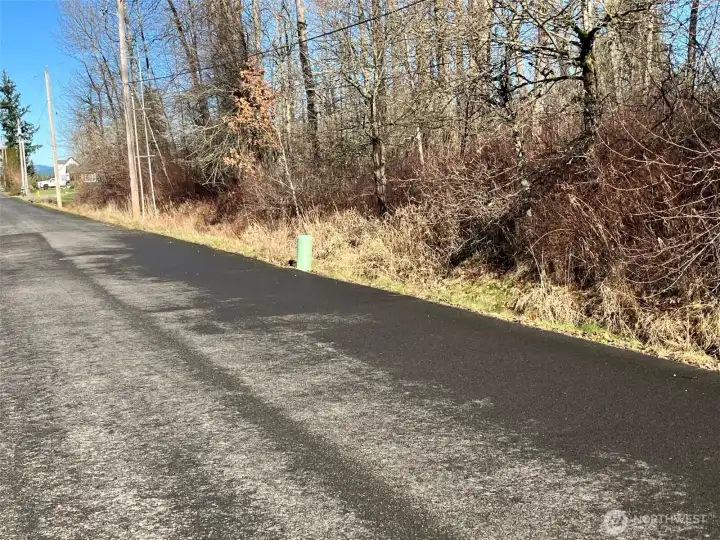Sewer lid, power poles and marker