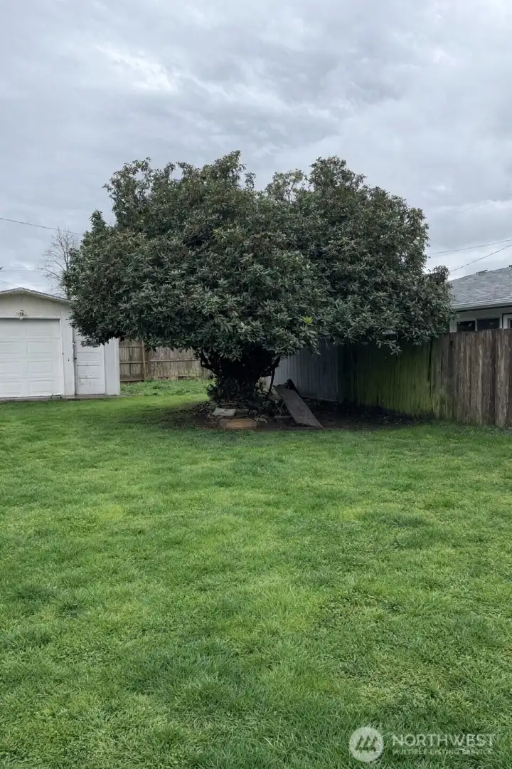 Virtual lawn staging