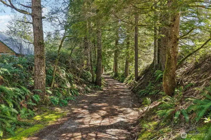 Enter your Driveway, driving under forested canopy to your Home.