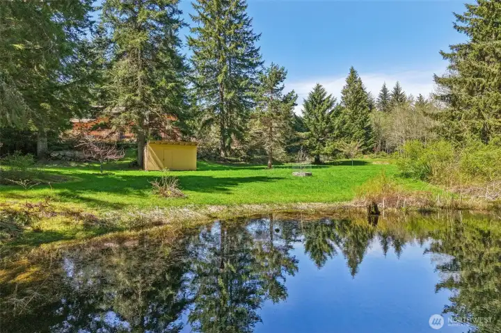 Looking from pond toward well house and house.