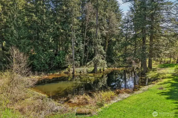 View of pond from another direction.