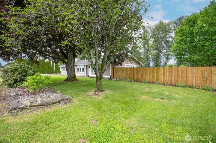 Front yard - new fence