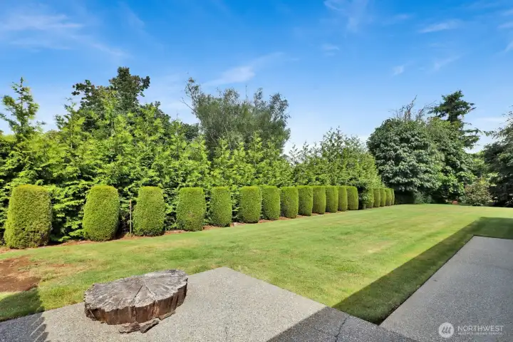 Just look at the privacy! Backing to peaceful greenspace, this backyard offers a quiet retreat with no neighbors directly behind—perfect for relaxing, gardening, or enjoying the outdoors. Just look at the privacy! Backing to peaceful greenspace, this backyard offers a quiet retreat with no neighbors directly behind—perfect for relaxing, gardening, or enjoying the outdoors.