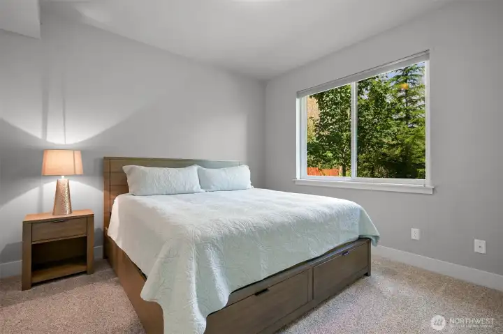 Lower level bedroom
