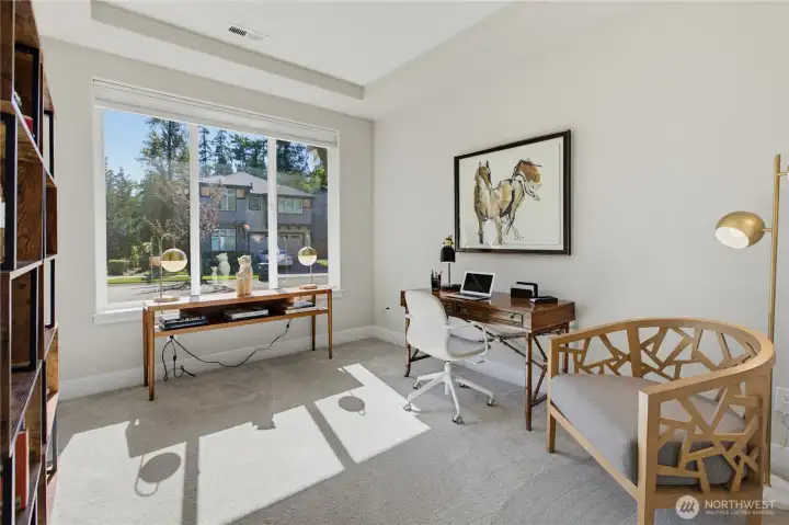 Just off the front door is this big bedroom slash office. It has a closet and next to it is a 3/4 bath with walk-in shower. Could be a nice multi-generational bedroom with level entry. What a sweet home office though. The windows are so large and the coffered ceilings add a bit of elegance. Just off the front door is this big bedroom slash office. It has a closet and next to it is a 3/4 bath with walk-in shower. Could be a nice multi-generational bedroom with level entry. What a sweet home office though. The windows are so large and the coffered ceilings add a bit of elegance.