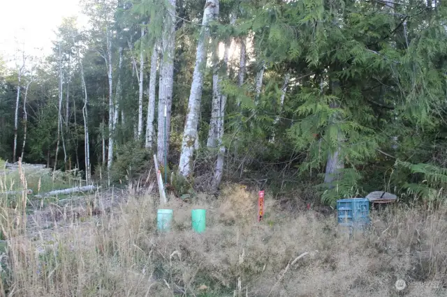 South Property marker from the road.