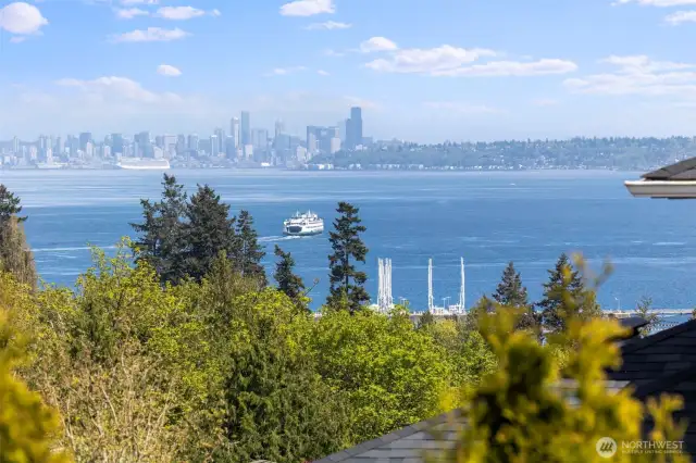 Views of Seattle, Ferries, Bottle Nose Porpoise, Eagles, Fireworks and Mt Rainier.