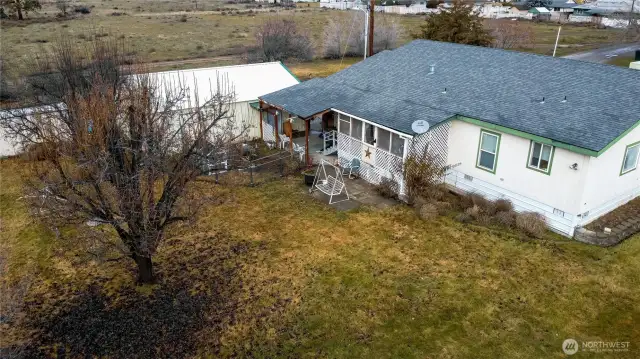 back yard