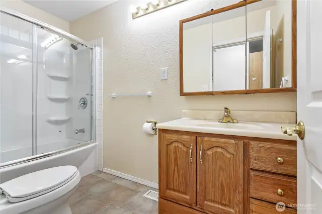 Lower level full bathroom