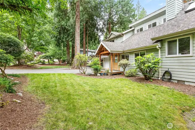 Front yard