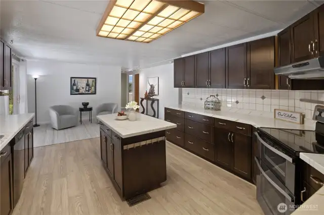 Pull out drawers, tons of counter space~