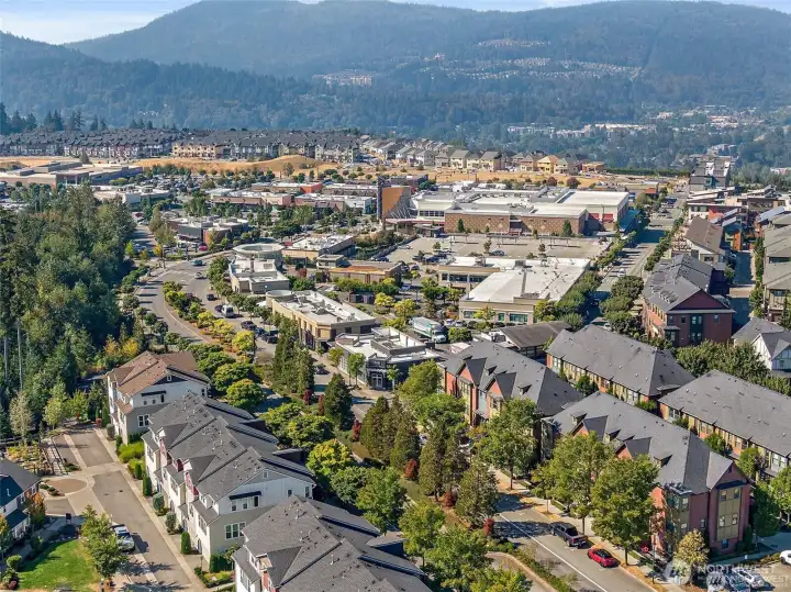 Walking distance to the town center. Restaurants, theater, shopping, bars, and much more, all walking distance from this beautiful home! What a great community.