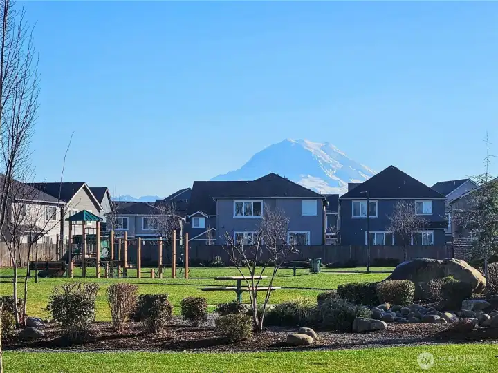 View of Mt. Rainier from the neighborhood play area.