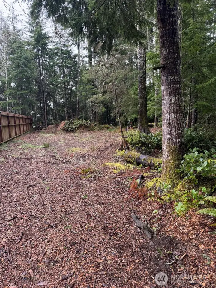 Cleared area on property looking towards back of lot