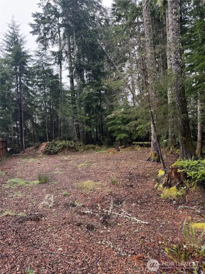 Looking towards back of lot