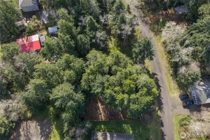 Overhead looking directly down.