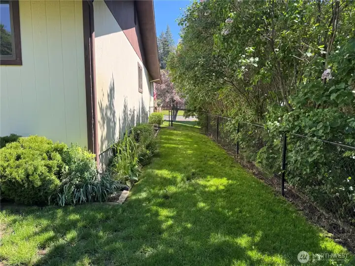 Backyard.