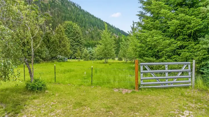 Fenced pasture Fenced pasture